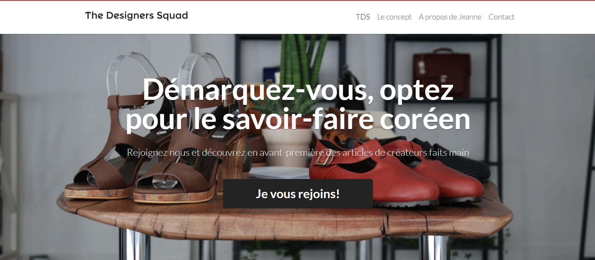 exemple de site avec strikingly